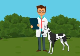 Behawiorysta, czyli czym zajmuje się psycholog zwierzęcy?